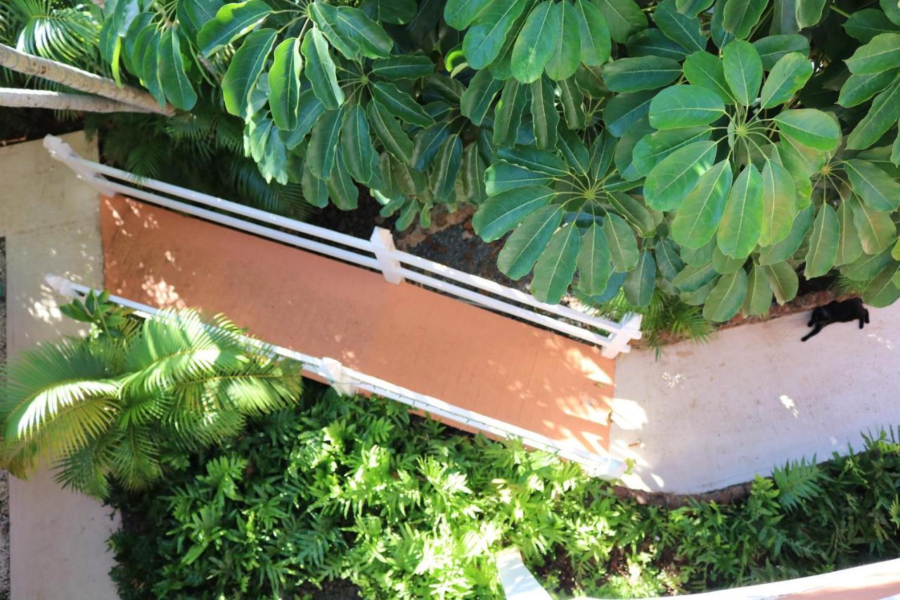 Вилла Maui Garden Oasis Лахайна Экстерьер фото