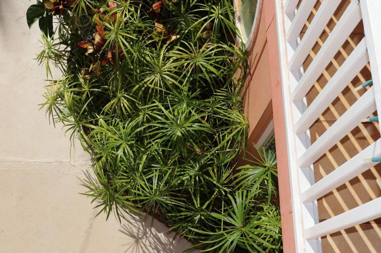 Вилла Maui Garden Oasis Лахайна Экстерьер фото